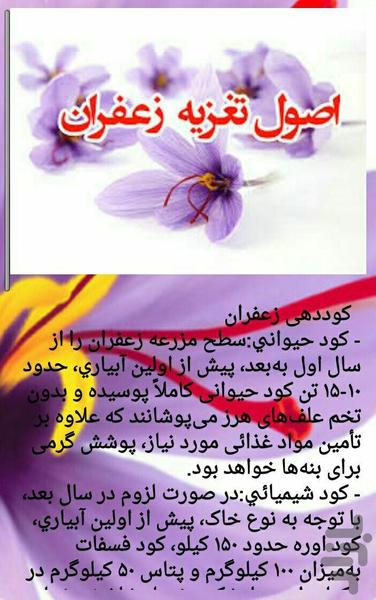 zaferan novin - Image screenshot of android app