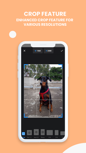 Typographic: Add Text On Photo - Image screenshot of android app