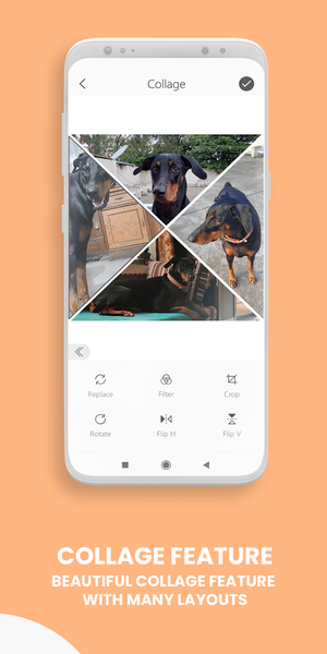 Typographic: Add Text On Photo - Image screenshot of android app