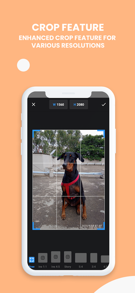 Typographic: Add Text On Photo - Image screenshot of android app