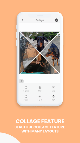 Typographic: Add Text On Photo - Image screenshot of android app
