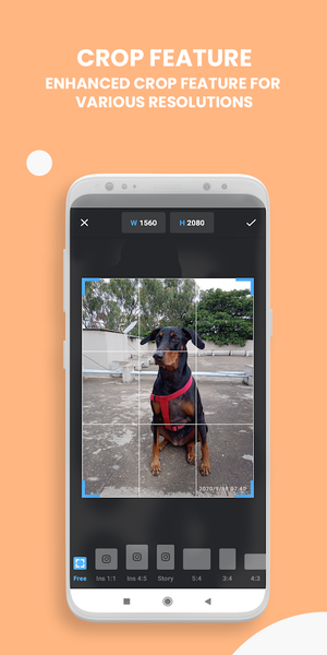 Typographic: Add Text On Photo - Image screenshot of android app