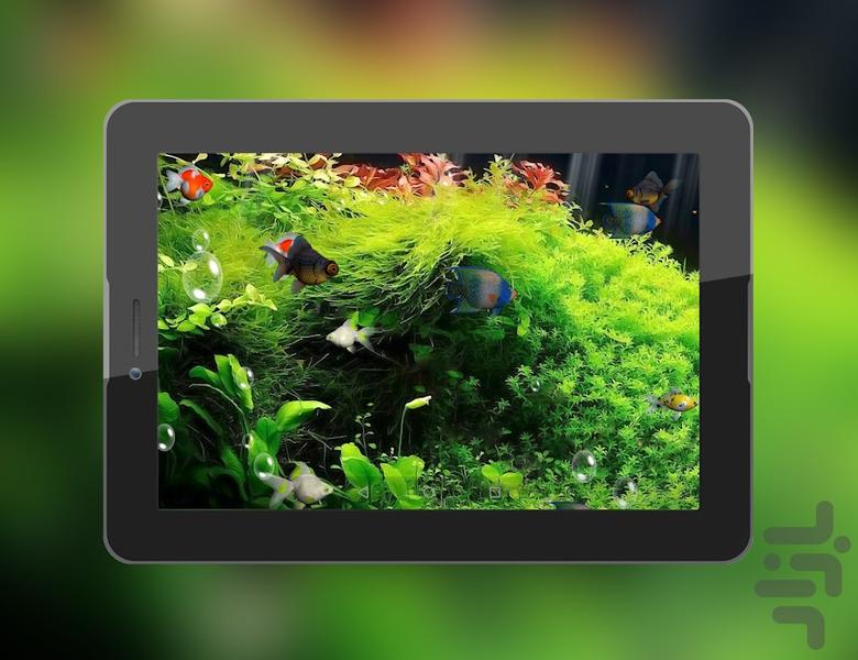 live aquarium wallpaper - Image screenshot of android app