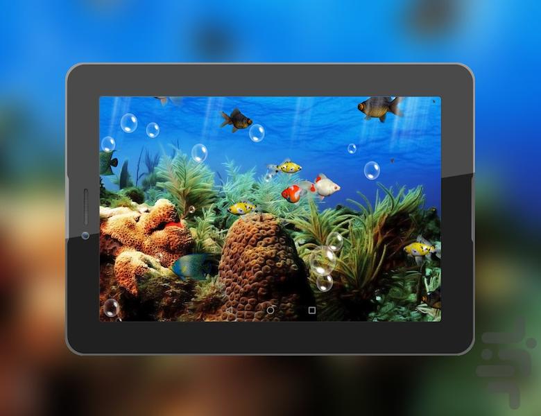 live aquarium wallpaper - Image screenshot of android app