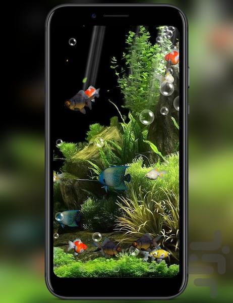 live aquarium wallpaper - Image screenshot of android app