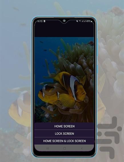 live aquarium wallpaper - Image screenshot of android app