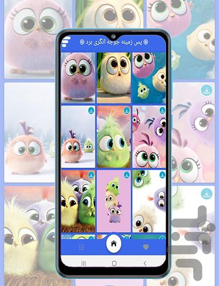 baby angry birds wallpaper - Image screenshot of android app