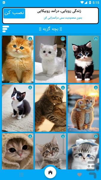 تصویر زمینه بچه گربه - Image screenshot of android app