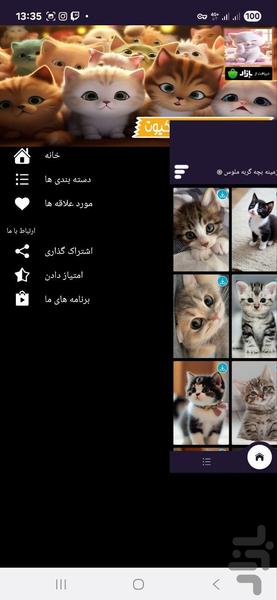 تصویر زمینه بچه گربه ملوس - عکس برنامه موبایلی اندروید