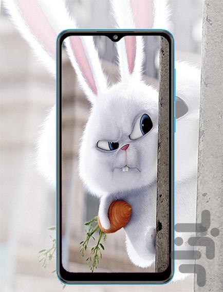 تصویر زمینه زنده بانی خرگوش - Image screenshot of android app