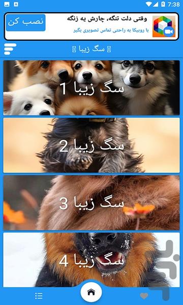 تصویر زمینه سگ زیبا - Image screenshot of android app