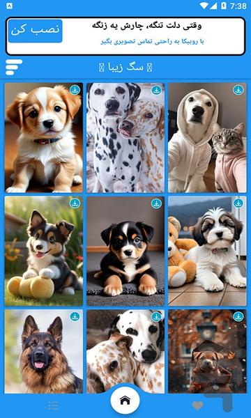 تصویر زمینه سگ زیبا - Image screenshot of android app