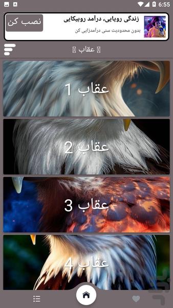 تصویر زمینه عقاب - Image screenshot of android app