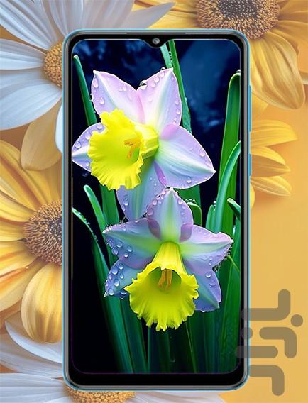 تصویر زمینه گل - عکس برنامه موبایلی اندروید