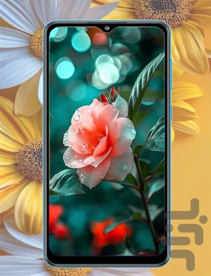 تصویر زمینه گل - عکس برنامه موبایلی اندروید