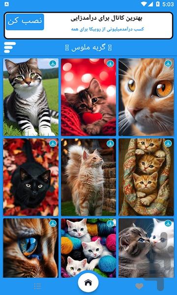 تصویر زمینه گربه کیوت - عکس برنامه موبایلی اندروید