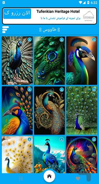 تصویر زمینه طاووس - عکس برنامه موبایلی اندروید