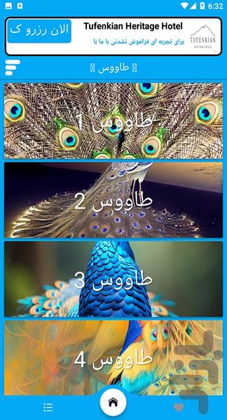 تصویر زمینه طاووس - عکس برنامه موبایلی اندروید