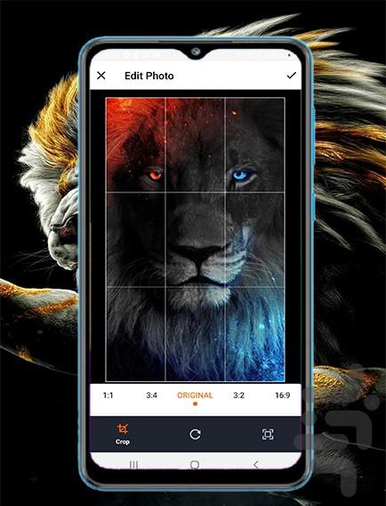 تصویر زمینه شیر فانتزی - عکس برنامه موبایلی اندروید