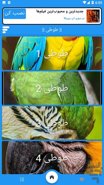 تصویر زمینه طوطی - Image screenshot of android app