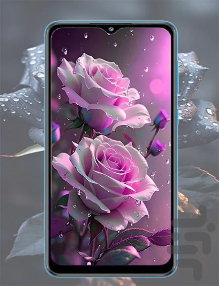 تصویر زمینه گل رز - عکس برنامه موبایلی اندروید