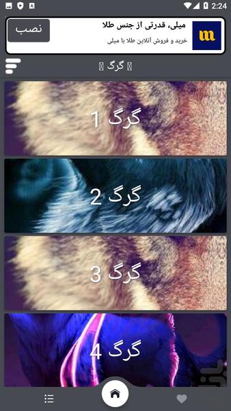 تصویر زمینه گرگ - عکس برنامه موبایلی اندروید