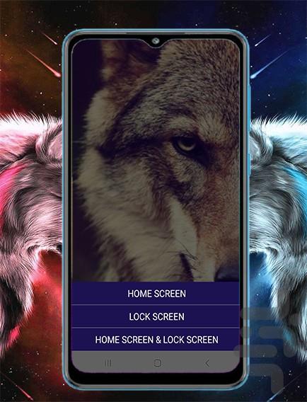 تصویر زمینه گرگ - عکس برنامه موبایلی اندروید