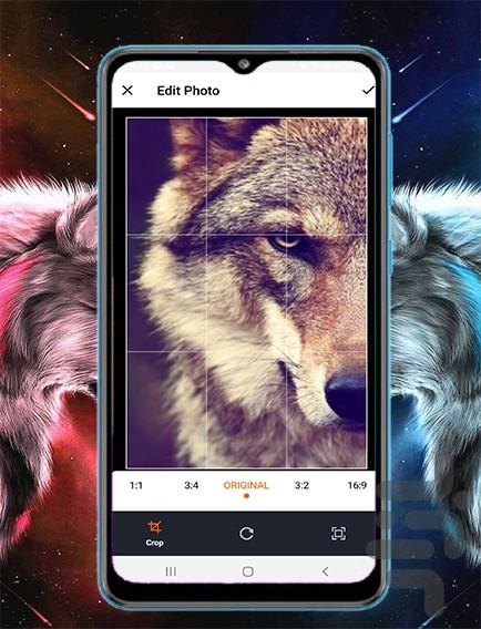 wolf hd wallpaper - Image screenshot of android app