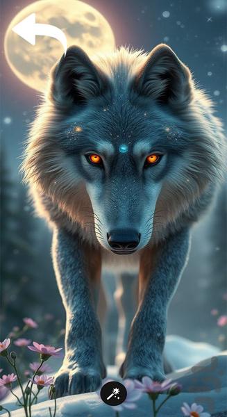 تصویر زمینه گرگ خاص - Image screenshot of android app
