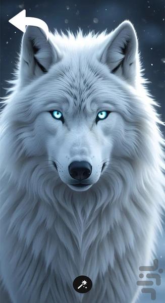 تصویر زمینه گرگ خاص - Image screenshot of android app