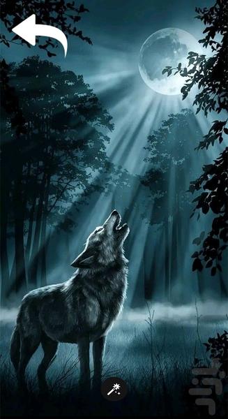 تصویر زمینه گرگ خاص - Image screenshot of android app