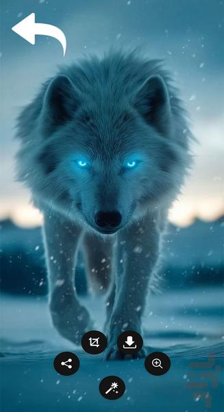 تصویر زمینه گرگ خاص - Image screenshot of android app