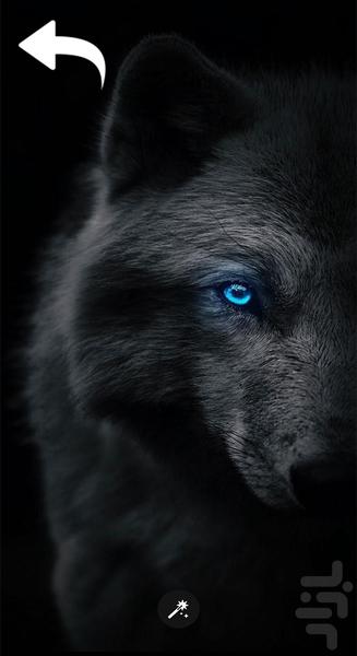 تصویر زمینه گرگ خاص - Image screenshot of android app