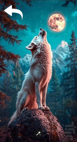 تصویر زمینه گرگ خاص - Image screenshot of android app