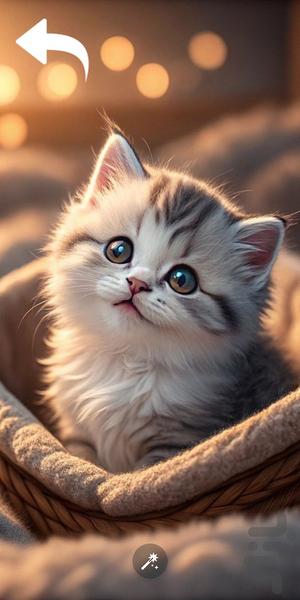 تصویر زمینه بچه گربه - Image screenshot of android app