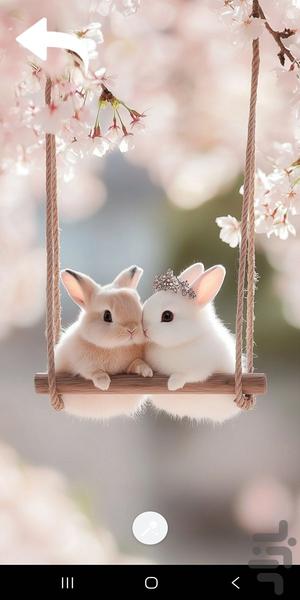 تصویر زمینه - عکس برنامه موبایلی اندروید