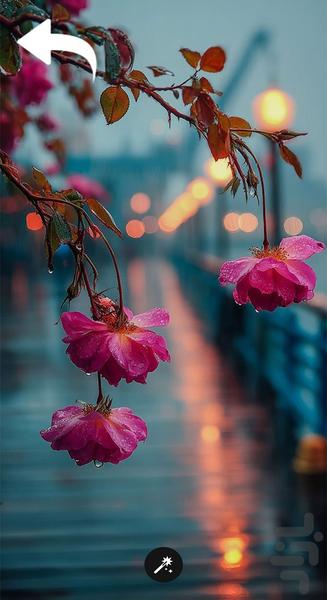 تصویر زمینه خاص - Image screenshot of android app