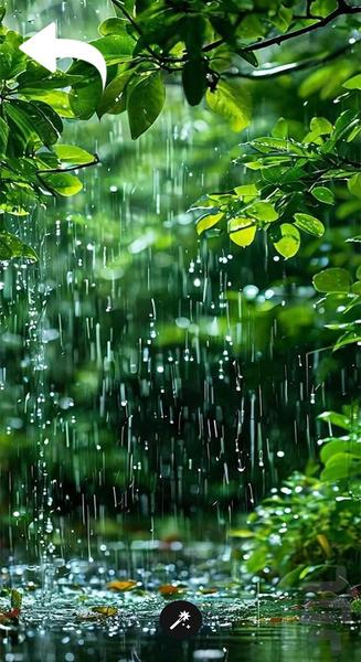 تصویر زمینه - Image screenshot of android app