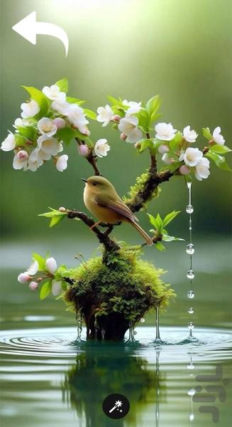 تصویر زمینه لاکچری - Image screenshot of android app