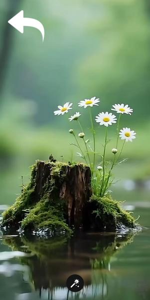 تصویر زمینه لاکچری - Image screenshot of android app