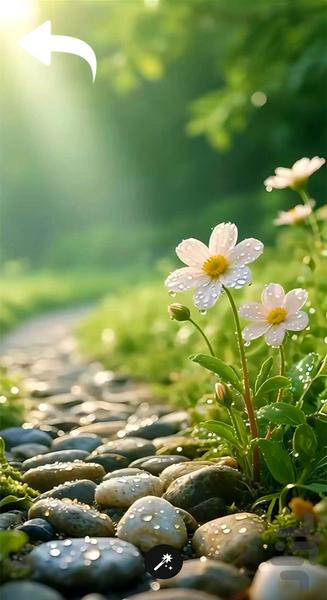 تصویر زمینه لاکچری - Image screenshot of android app