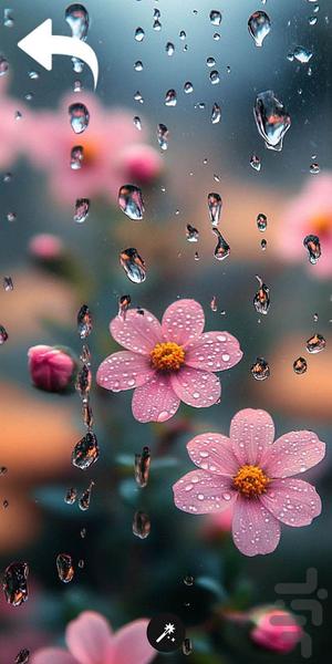 تصویر زمینه _ wallpaper۴k - عکس برنامه موبایلی اندروید