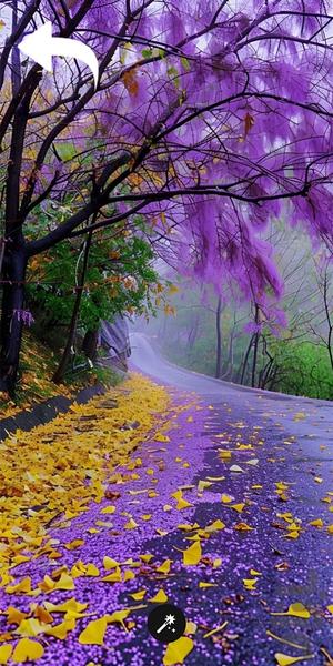 تصویر زمینه طبیعت - عکس برنامه موبایلی اندروید