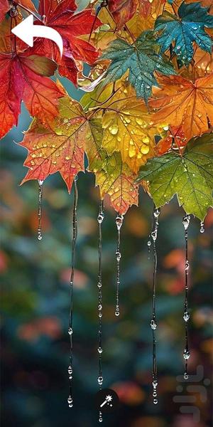 تصویر زمینه طبیعت - عکس برنامه موبایلی اندروید