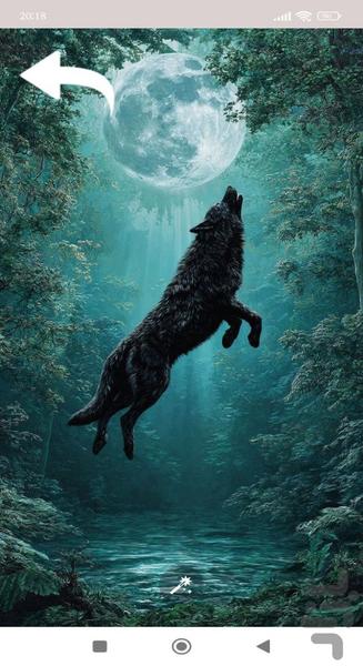 تصویر زمینه گرگینه - Image screenshot of android app