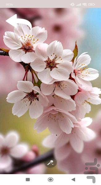 تصویر زمینه - Image screenshot of android app
