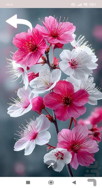 تصویر زمینه - Image screenshot of android app