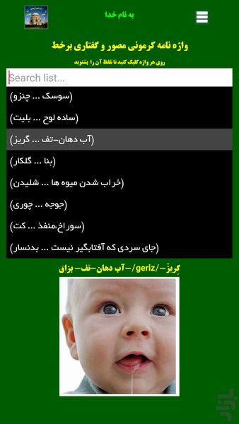 واژه نامه کرمونی مصور و گفتاری بر خط - Image screenshot of android app