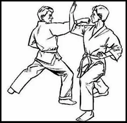 basic kung fu steps