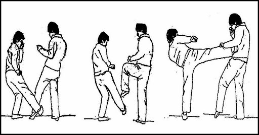 kung fu moves for beginners